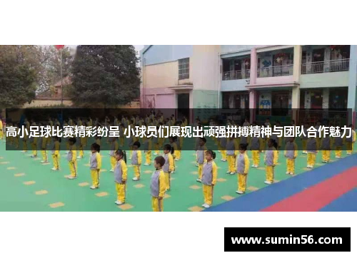高小足球比赛精彩纷呈 小球员们展现出顽强拼搏精神与团队合作魅力
