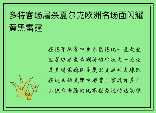 多特客场屠杀夏尔克欧洲名场面闪耀黄黑雷霆